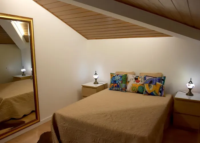 Orchid House - T1 * 布拉加