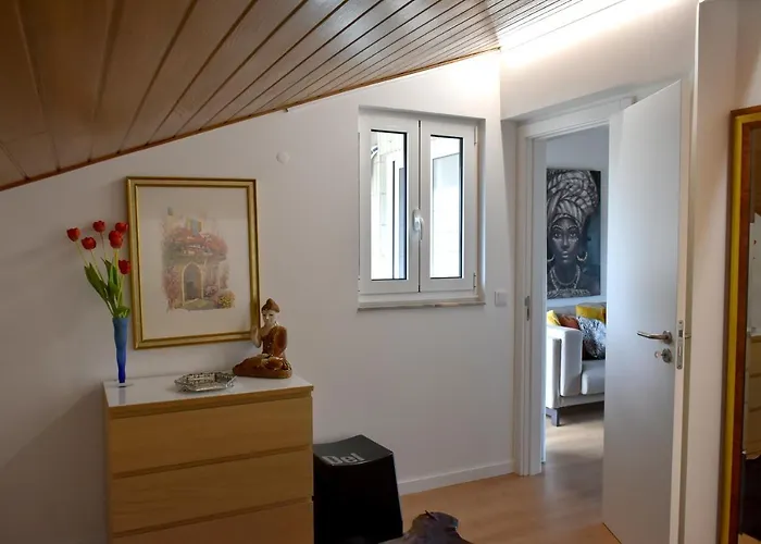 Orchid House - T1 * 布拉加